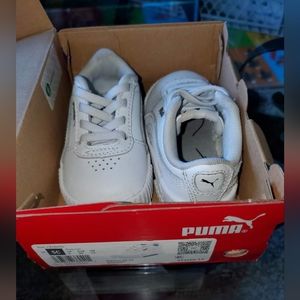 Toddler Boy Puma's